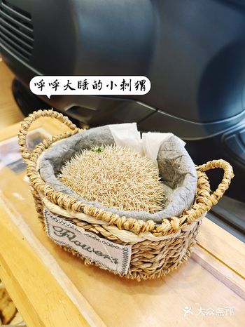 果然是大城市，咖啡馆都这么有意思