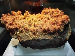 -湖南省地质博物馆