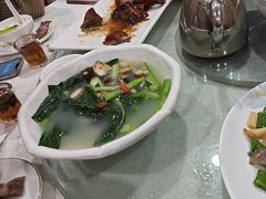 -姚林轩