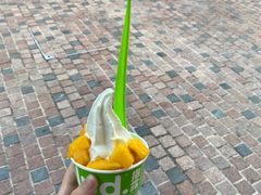 -Salud撒露欧洲冻酸奶(蓝色港湾店)