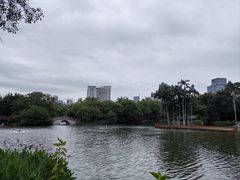 -荔湾湖公园
