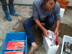 -乡乐园蟹庄·阳澄湖农家乐