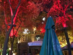-甘尼仕印度餐厅爵士酒吧(阳春巷店)