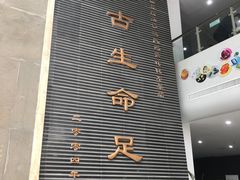 -中国地质大学逸夫博物馆