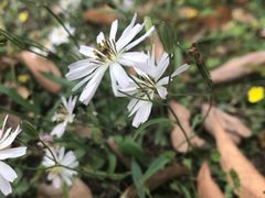 -四川大学(华西校区)