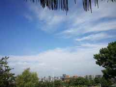 -莫子山公园