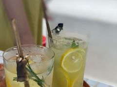 柚子气泡水-柴务处·柴犬主题狗咖