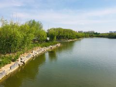 -大兴滨河森林公园