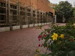 -香港大学
