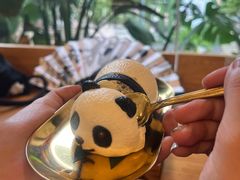 -轩客会(熊猫书店)