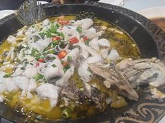 -金三可市井水煮鱼(金碧园店)