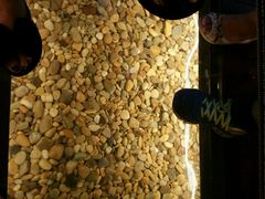 android_upload_pic-颐和•海鲜砂锅粥•啫啫煲(奥林匹克广场店)