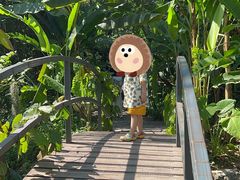 -中国科学院西双版纳热带植物园