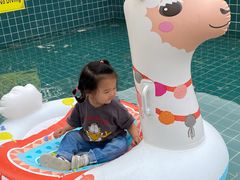 -向外鱼乐·土菜·虹鳟鱼