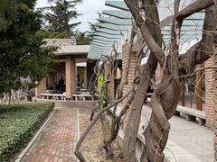 -北岭山森林公园
