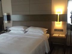 -扬州绿地铂骊酒店