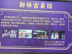 -御林古桑园