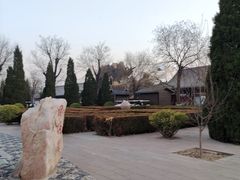 -大槐树寻根祭祖园