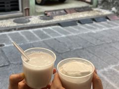 -洪馨椰子