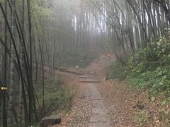 -西湖风景区十里琅珰-五云山
