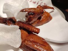 -鸽子侯·家宴·平价海鲜(市图书馆店)