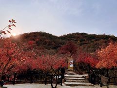 -周口店坡峰岭风景区