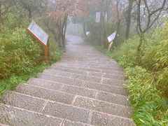 -杭州半山国家森林公园