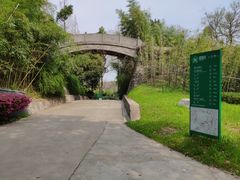 -菊花台公园