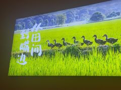 -杨厨的田园饭店(长城路店)