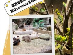 -zoonana室内动物园(东方福来德店)