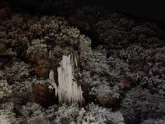 -少华山国家森林公园