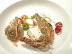 -西郊5号·Maggie 5