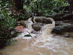 -火炉山森林公园
