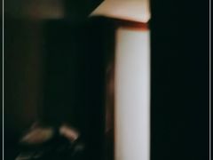 -上海圣淘沙万怡酒店