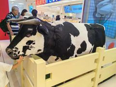 -红星前进面包牛奶公司(君太店)