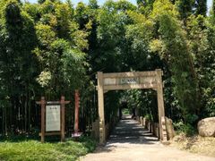 -采石矶景区