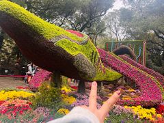 -杭州植物园