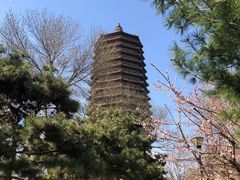 -玲珑塔公园