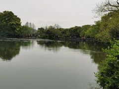-西湖游船