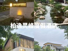 -老李家土菜馆·安吉地标美食