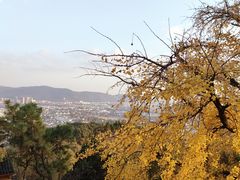 -灵岩山风景区