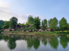 -常德桃花源景区