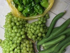 -马陆小张葡萄园农家乐