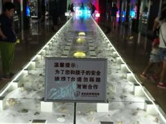 -青岛贝壳博物馆