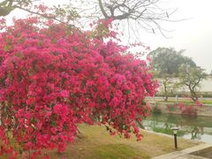 -赤坎·广东华侨国际旅游度假区