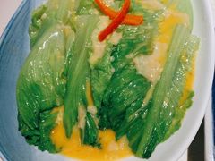 -点都德·毕德寮