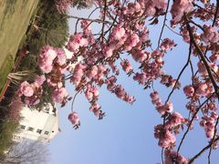 iphone_upload_pic-凤城河风景区