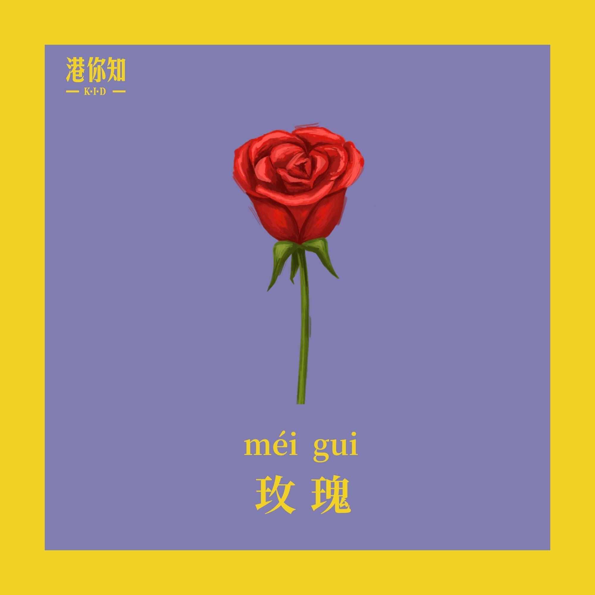🇭🇰深圳学粤语丨花卉篇之玫瑰