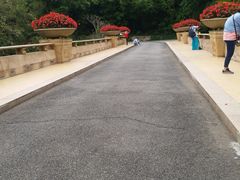 -云溪植物园