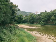 -清水湖度假村(罗浮山美食地标店)